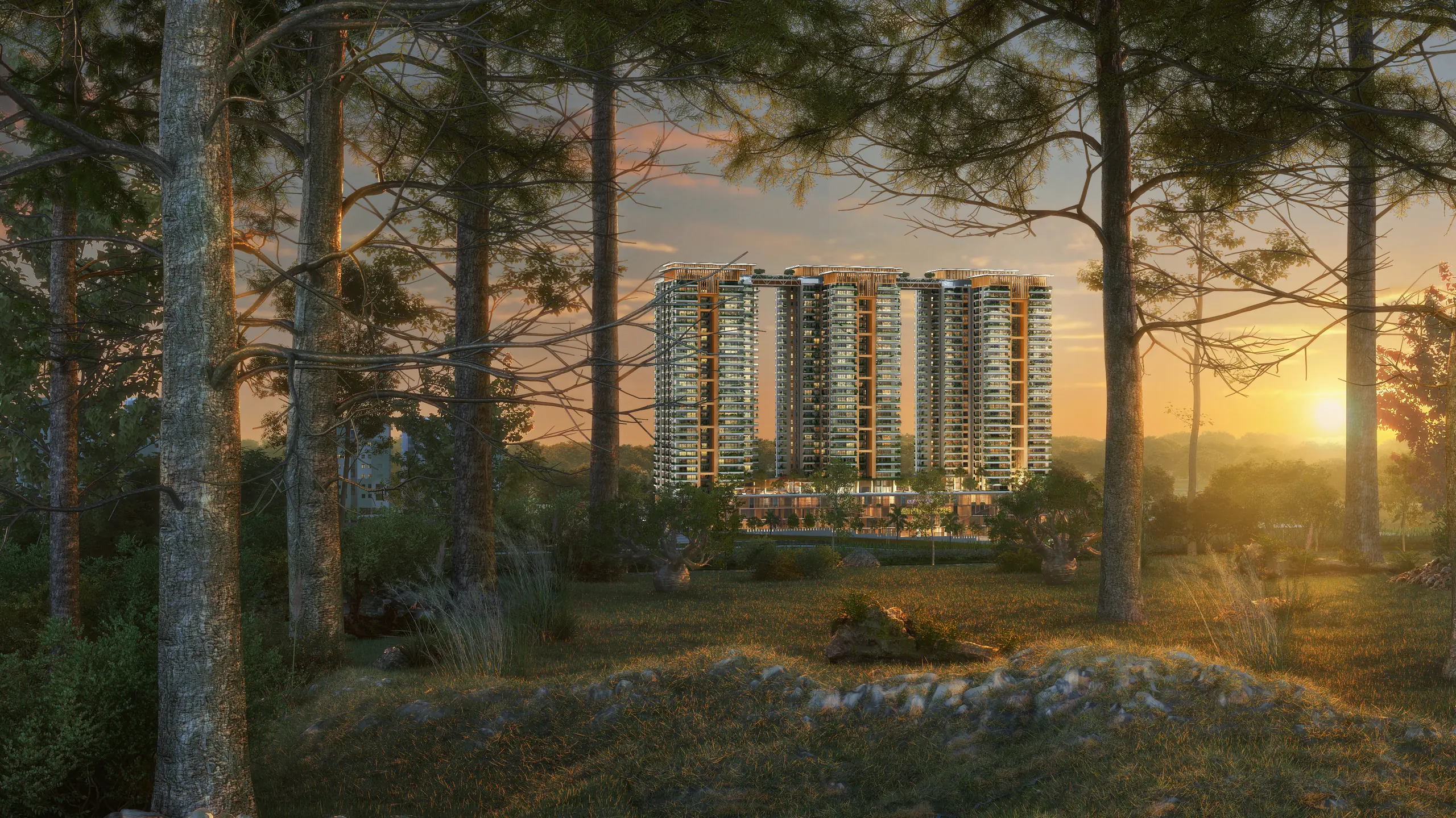 Stalwart Atmosphere — the towers at sunset, seen through Bharatpur Forest